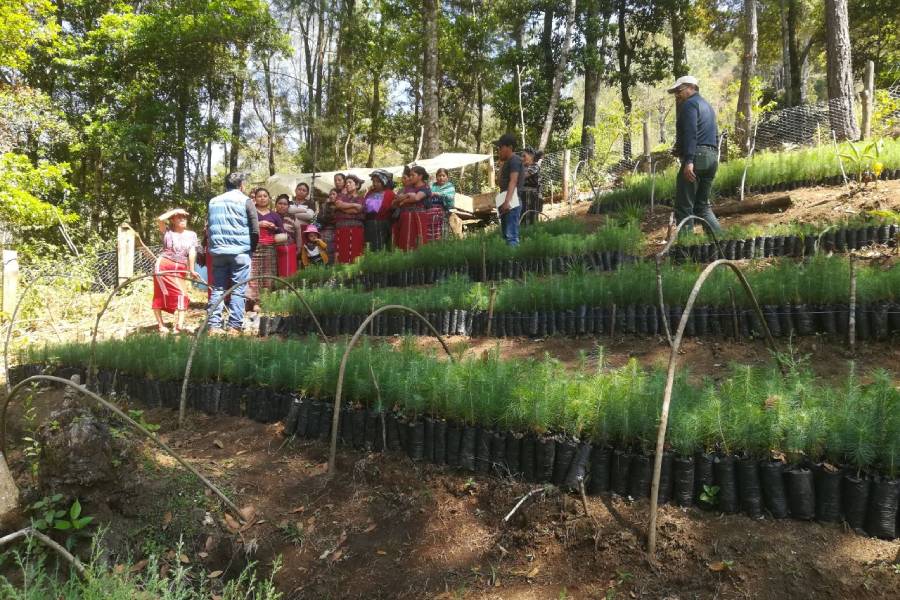 Programa de Pequeñas Donaciones Ciclo I y II, Financiado por el Fondo a la Conservación de Bosques Tropicales en Guatemala (FCA)