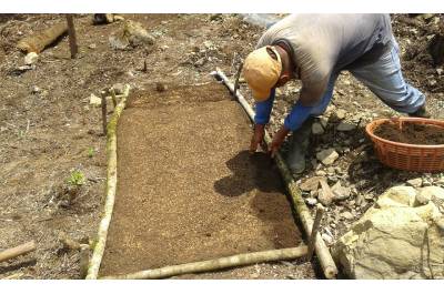 Restauración ecológica para la conectividad en las cuencas Selegua e Ixcán, Huehuetenango, financiado por el Fondo a la Conservación de Bosques Tropicales en Guatemala (FCA).