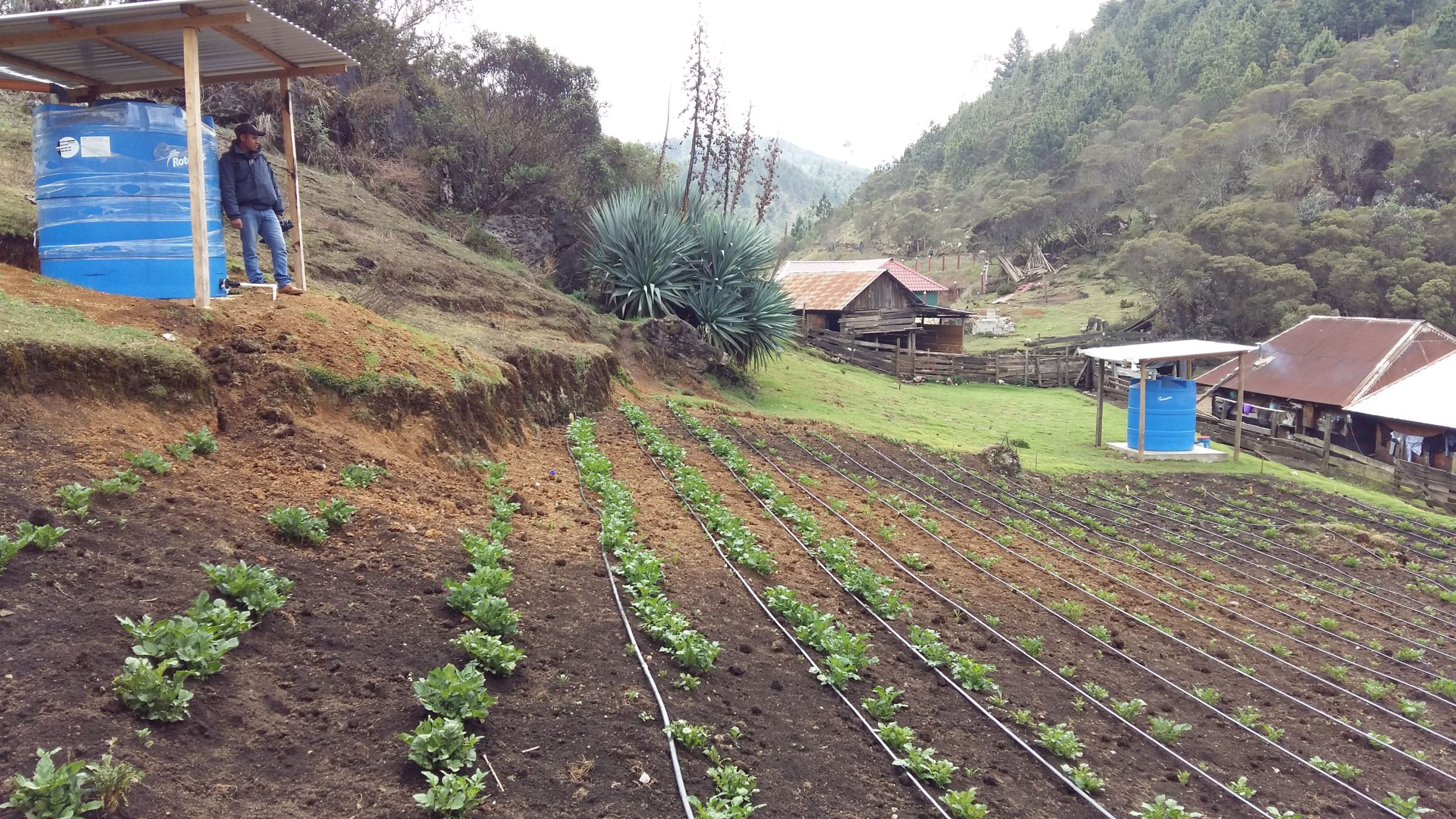 Clima, Naturaleza y Comunidades en Guatemala –CNCG-, con el apoyo de Agencia Internacional de Desarrollo del pueblo de los Estados Unidos (USAID). Programa liderado por Rainforest Alliance e implementado por un consorcio de instituciones ambientales, académicas y empresariales