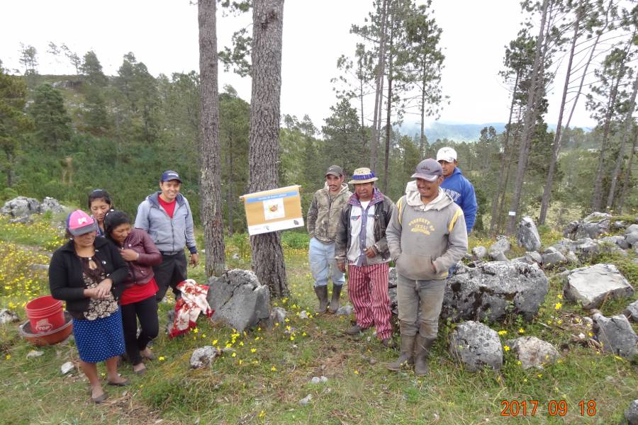 Producción y Comercialización de Semilla Certificada de Papa, financiado por USAID/FINTRAC/SERVICIOS DE POS COSECHA