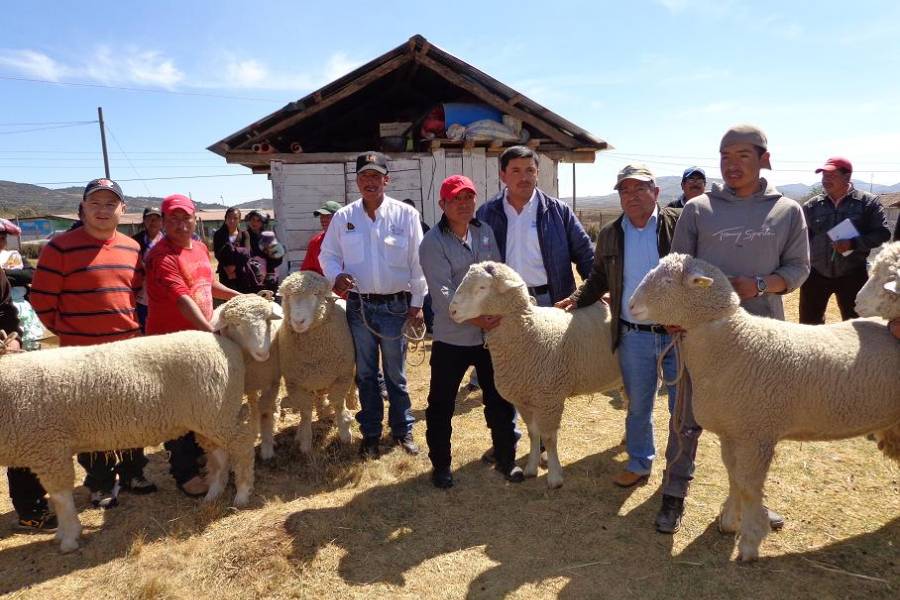 Fortalecimiento de la Ovinocultura en la Meseta de Los Cuchumatanes a través del Establecimiento de Centros de Reproducción Ovina con ejemplares importados de registro, financiado por el Fondo a la Conservación del Ministerio de Agricultura, Ganadería y Alimentación