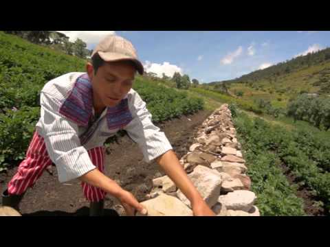 Trabajo de ASOCUCH en Bosques