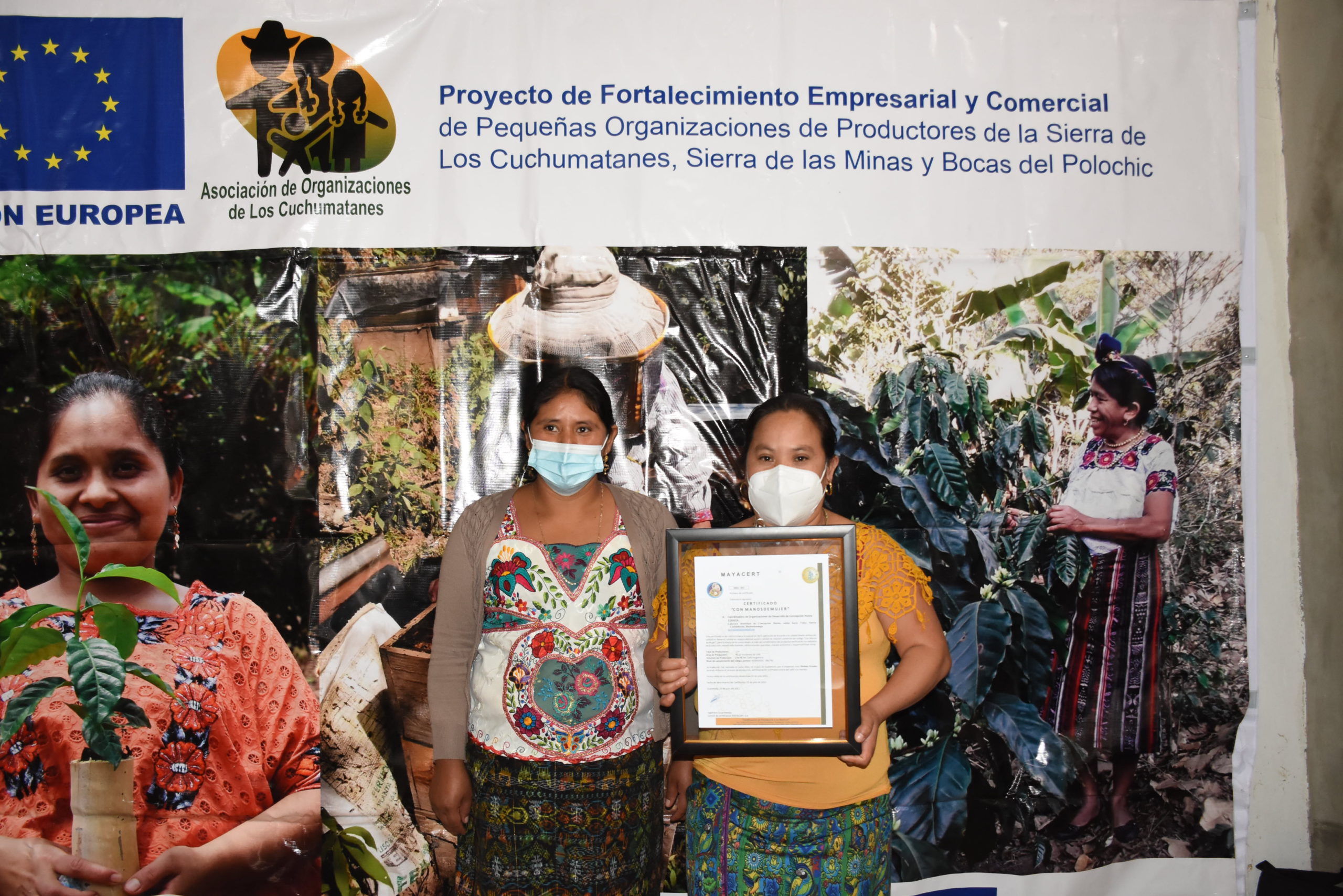 Entrega de Certificado Con Manos de Mujer y Equipo Control de Calidad en Café