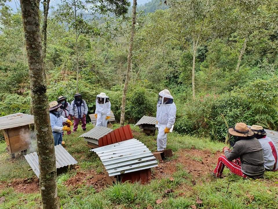 Fortalecimiento de procesos productivos y empresariales de Organizaciones de Pequeños Productores de la Sierra de Los Cuchumatanes