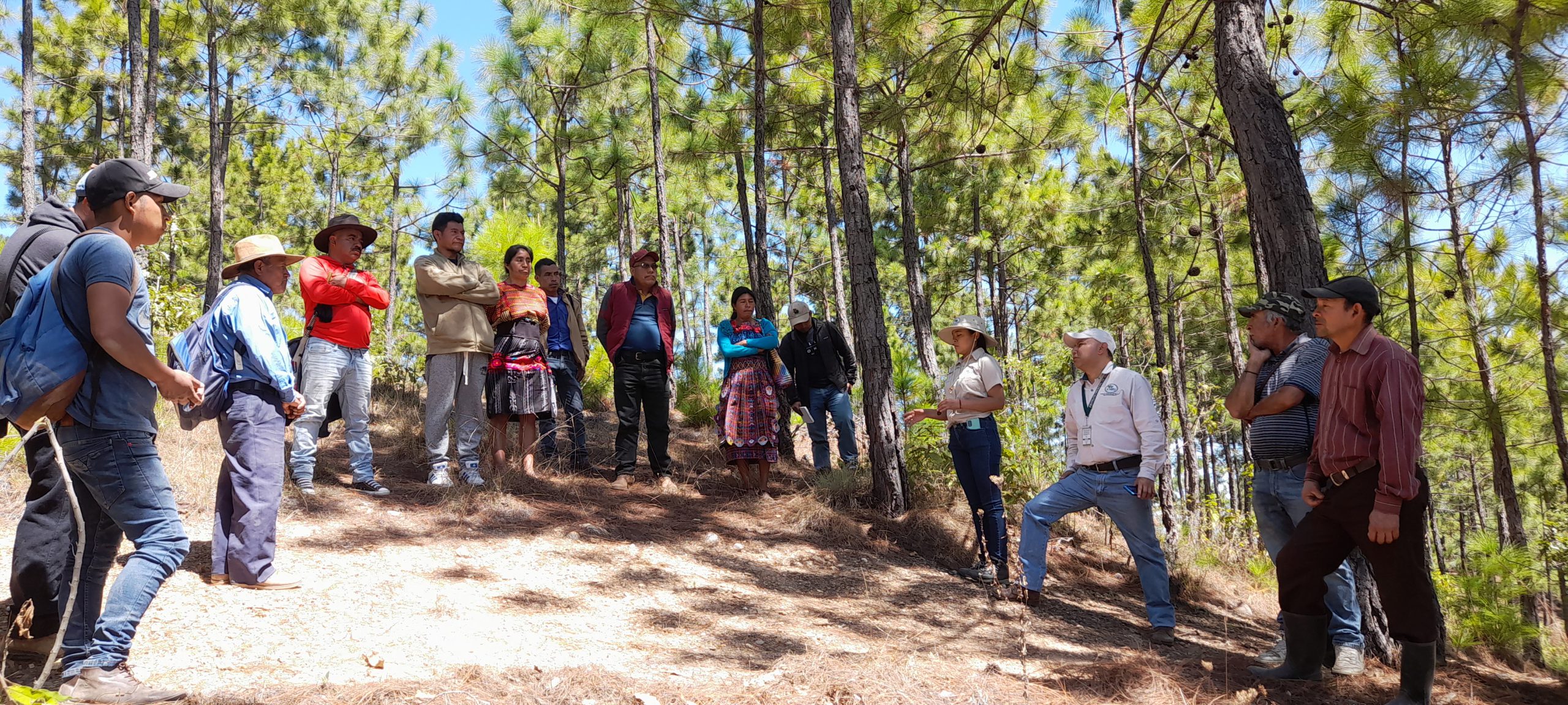 Restauración del Paisaje en cinco microcuencas del departamento de Quiché