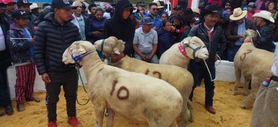 XXV FERIA RURAL DEL CORDERO Y XII FERIA DE AGROBIODIVERSIDAD 12 y 13 de noviembre 2023